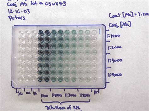 how to read elisa plate